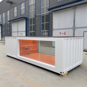 20ft Container Swimming Pool With Fiber Glass Window